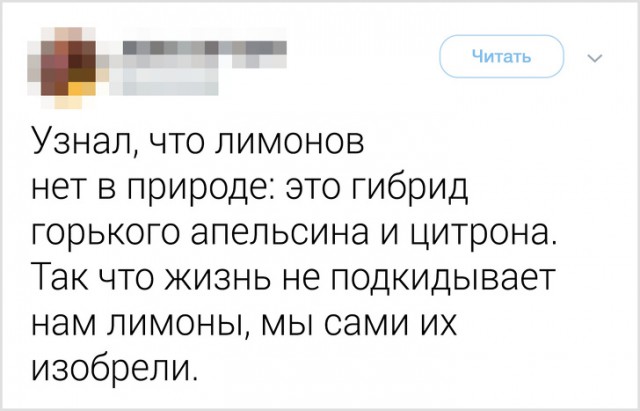 Пользователи сети, которые знают об этом мире больше, чем гугл