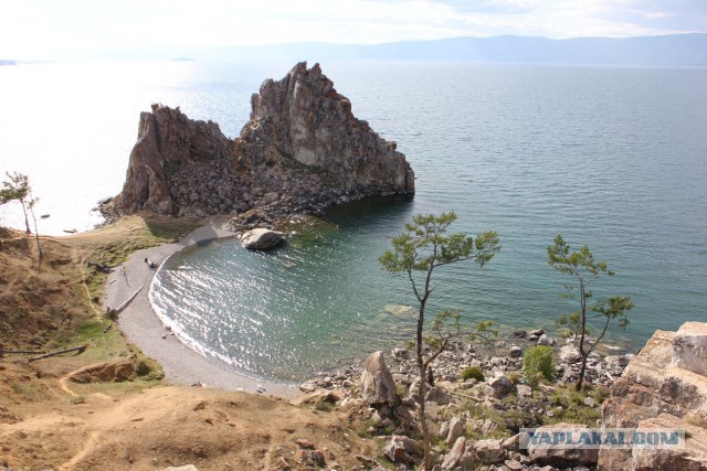 Спасение суслика на Байкале, Добрый мимими пост про жителя Ольхона