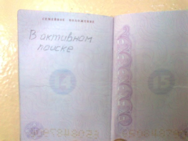 6823602.jpg