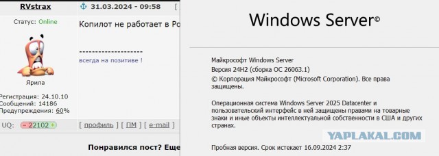 Новая тестовая сборка Windows 11