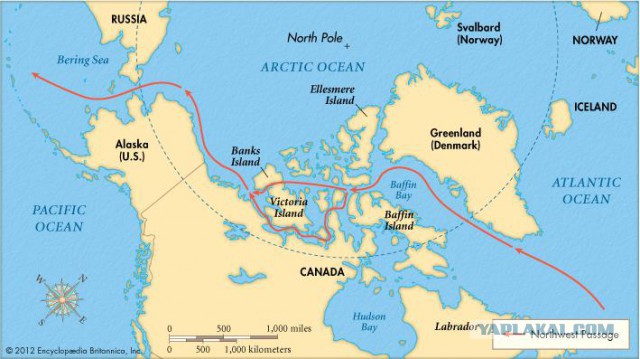 Вторая "Арктика" обретает контуры