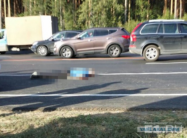 "Обочечник" на Mercedes Gelandewagen насмерть сбил человека