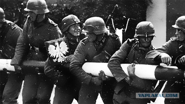 Немцы обвинили СССР в начале Второй мировой войны