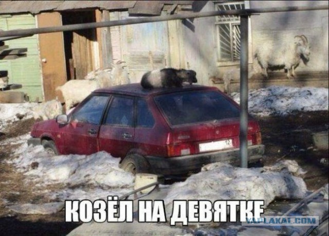 8876812.jpg