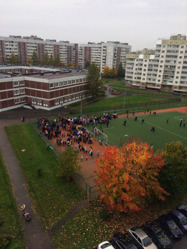 Эвакуация в школах СПб