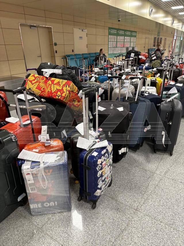 Сотни чемоданов, промокших после потопа в Дубае, воняют в зоне прилета Домодедово.