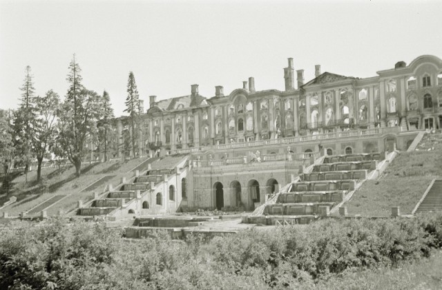 Петергоф, лето 1942 г.