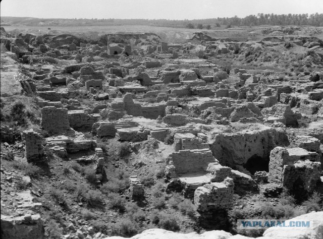 Египетский морок. Строительство колоссов, Сфинкса, пирамид на заре эры фотографий в 19 веке.