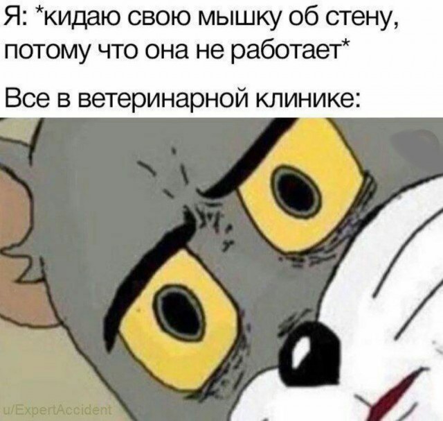 Субботняя адовая вакханалия подъехала