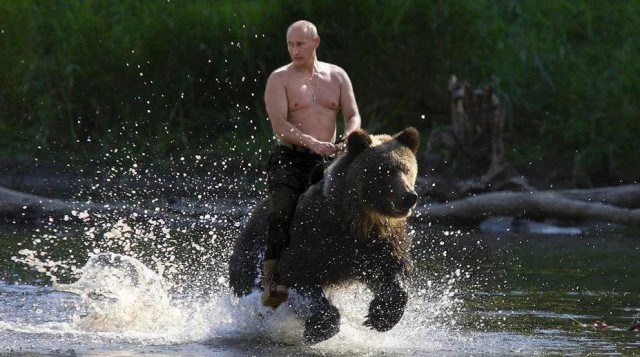 Житель Ямала прокатился верхом на медведе