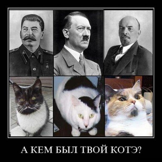 Котовторнику посвящается.