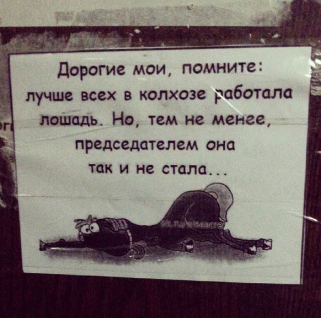 «Бродячие» философы: 17 глубокомысленных заметок в транспорте и на улицах