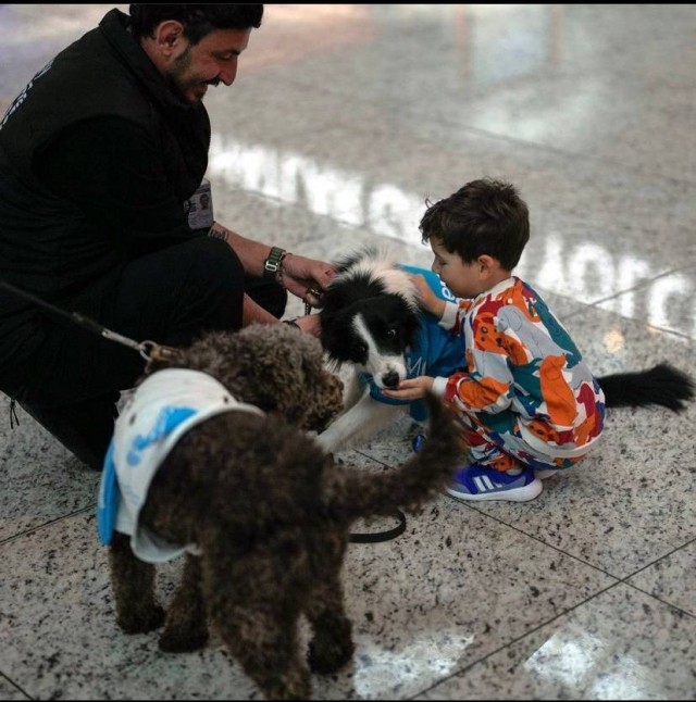 В аэропорту Стамбула появились собаки-терапевты, которые помогают расслабиться всем, кто боится перелетов
