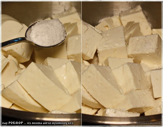 Cыр Рокфор … из молока англо нубийских коз