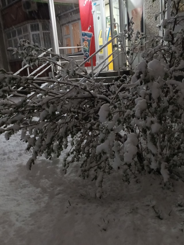 Во Владимирской области ожидается снегопад. Арктическое вторжение
