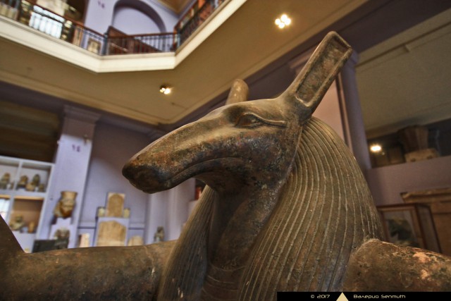 Путешествие в Египет [2017] в фотографиях. Часть первая: Каирский музей
