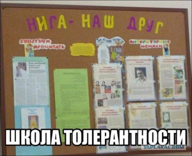 4363342.jpg