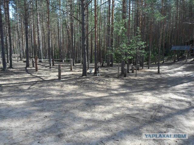 Река Уксунйоки (Укса). Карелия. Сплав по большой воде. Фотоотчет