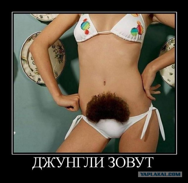 Не бритый лобок это модно Не бритый лобок это модно