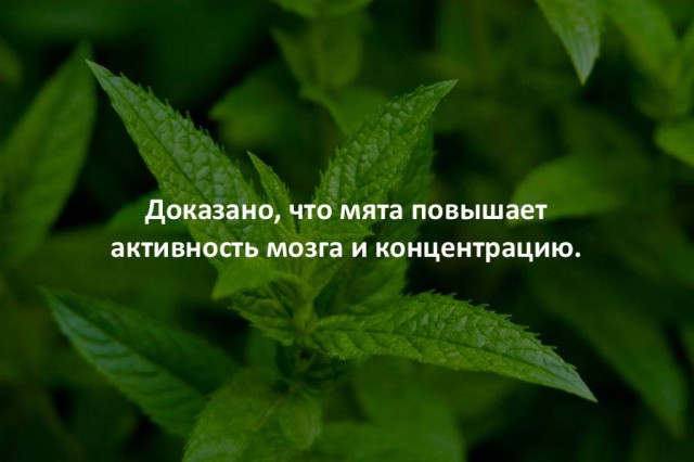 44 интересных факта в картинках. Продолжение