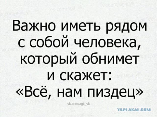10421942.jpg