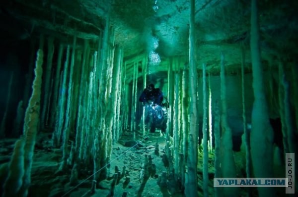 Подводные пещеры на Багамских островах