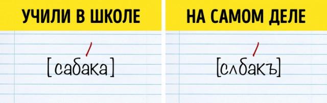 10 фактов, благодаря которым вы посмотрите на русский язык совершенно по-другому