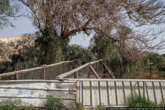 Заброшенные крокодилы Израиля