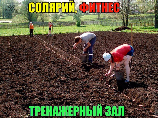 Бездушная посадка картошки