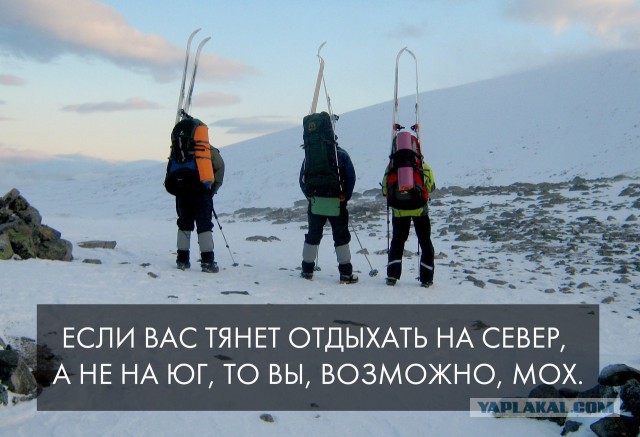Приключения московской блондинки за полярным кругом