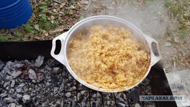 Узбекская кухня. Ферганский плов