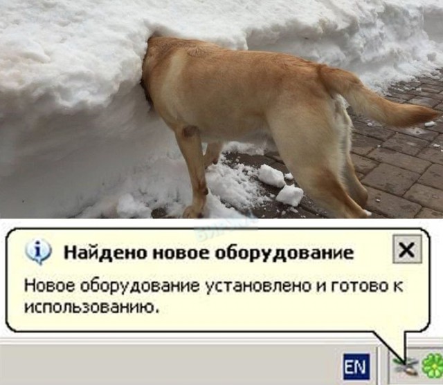 11315362.jpg