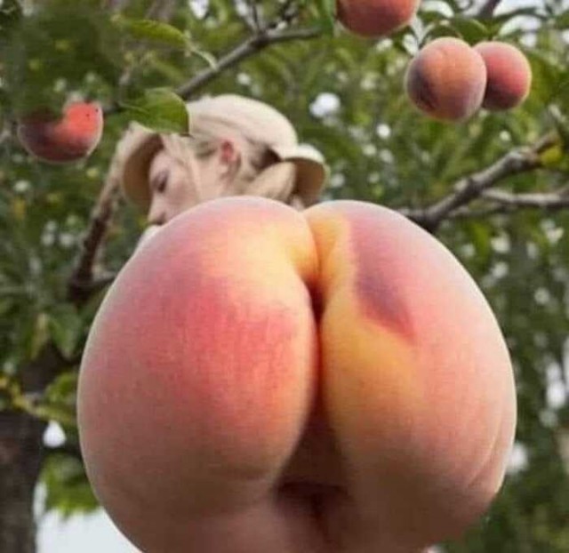 Спеленький персик