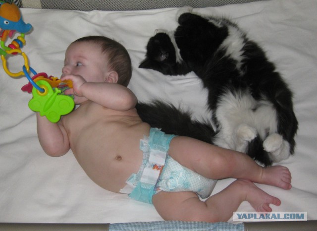 Кошка и котё... ребёнок