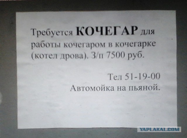 6515462.jpg