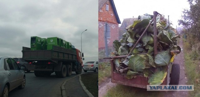 Самые странные попытки разбоя и грабежа за последнее время ...