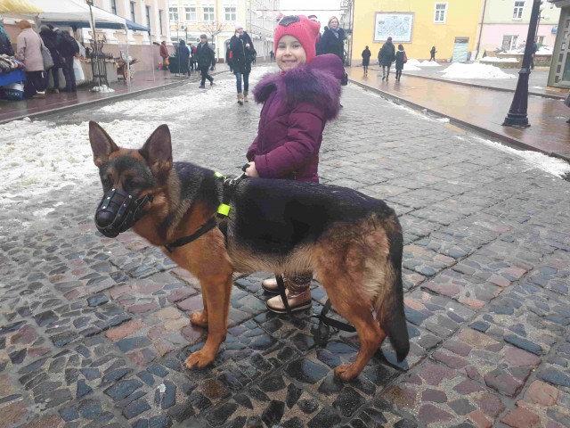 Собака и девочка