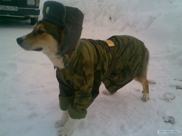 http://s00.yaplakal.com/pics/pics_preview/2/7/1/1243172.jpg