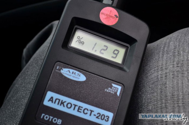 что можно выпить от глистов беременной что можно выпить от глистов беременной