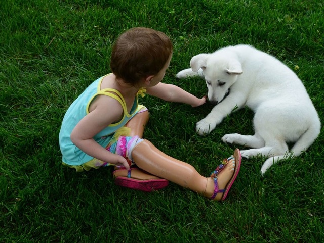Крепкая дружба девочки и щенка