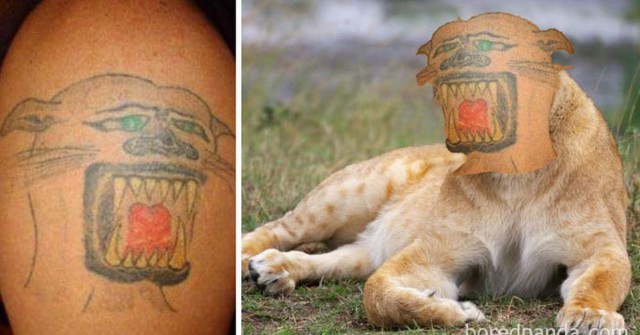 Татуировка льва. Толстого, но приличного
