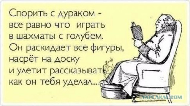 Анекдот про голубя и шахматы Анекдот про голубя и шахматы