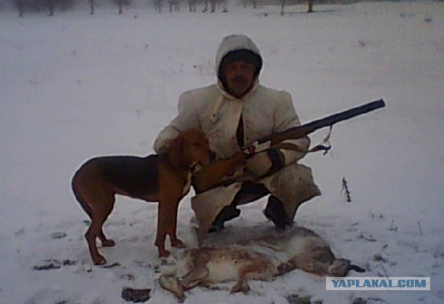 Под Саратовом собака застрелила охотника из ружья