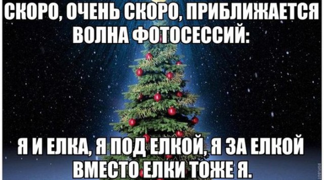 4471182.jpg