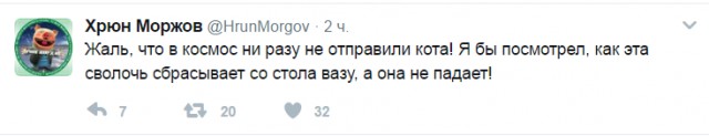 9591182.jpg