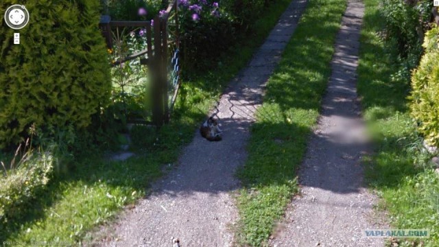 В Литве уже действует Google Maps Street View