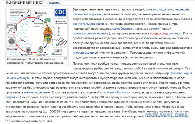 Операция на открытом сердце Извлечение паразитов