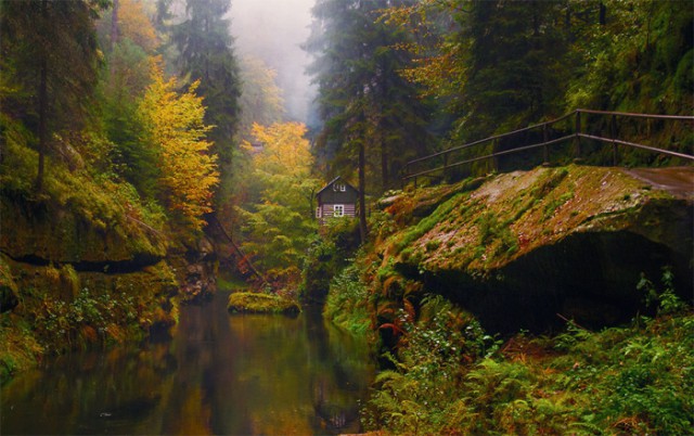 Удивительные фотографии домов, затерянных в лесах