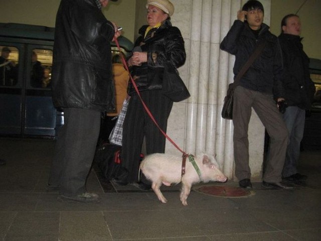 Пассажиры в метро.