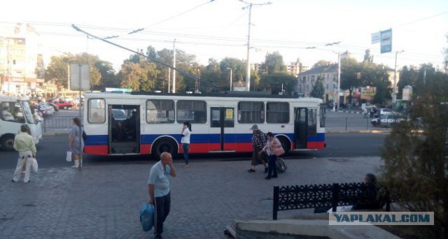 «Три сестры»: сравниваем троллейбусы Гомеля, Брянска и Чернигова